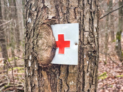 20220123160543-ee884e6a